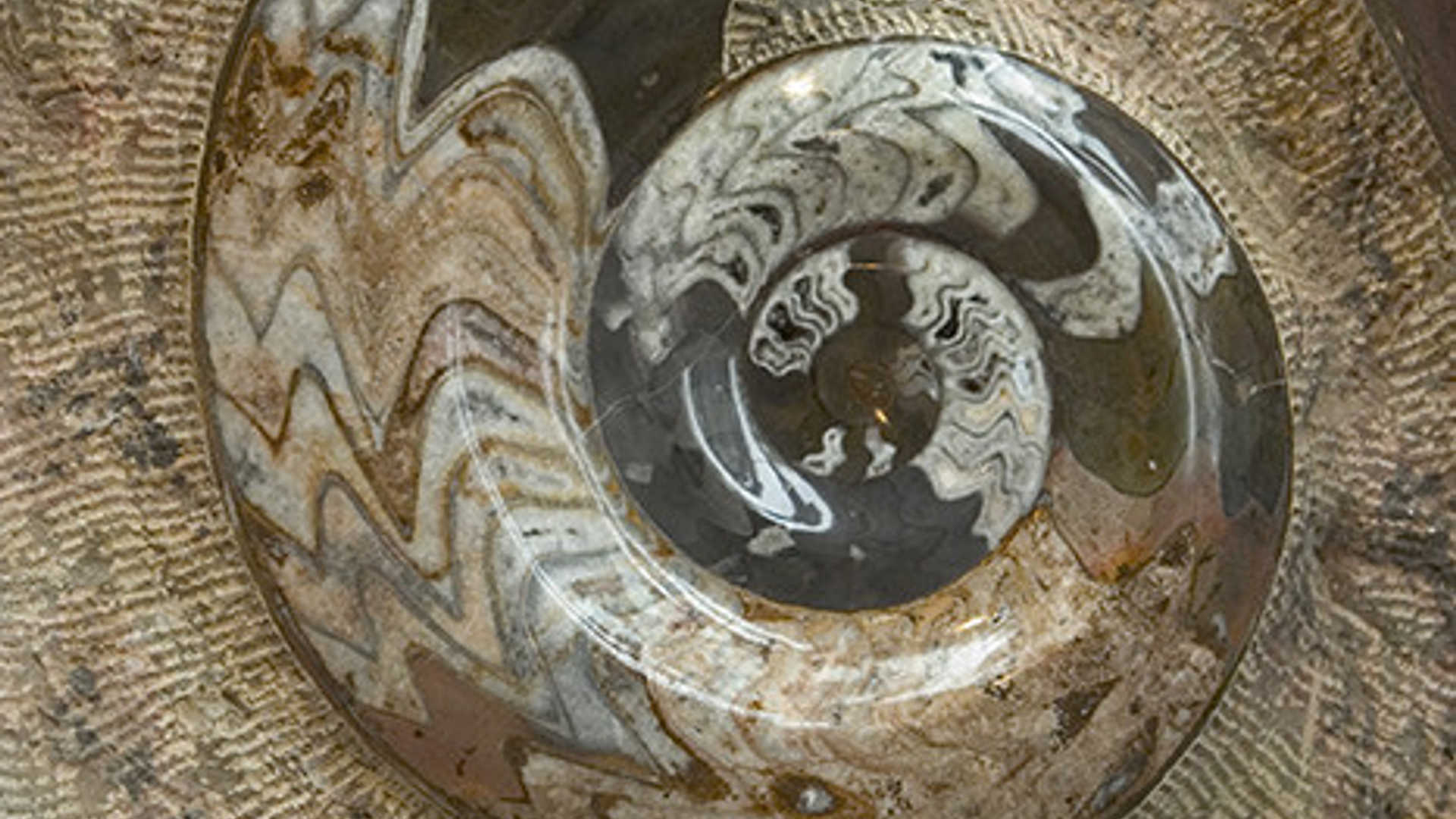 Decorative background image