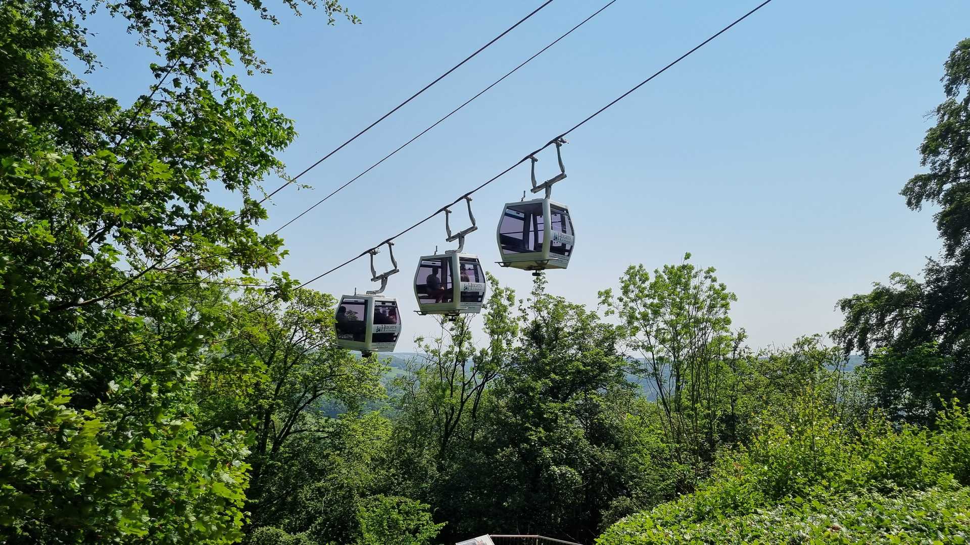 Decorative background image