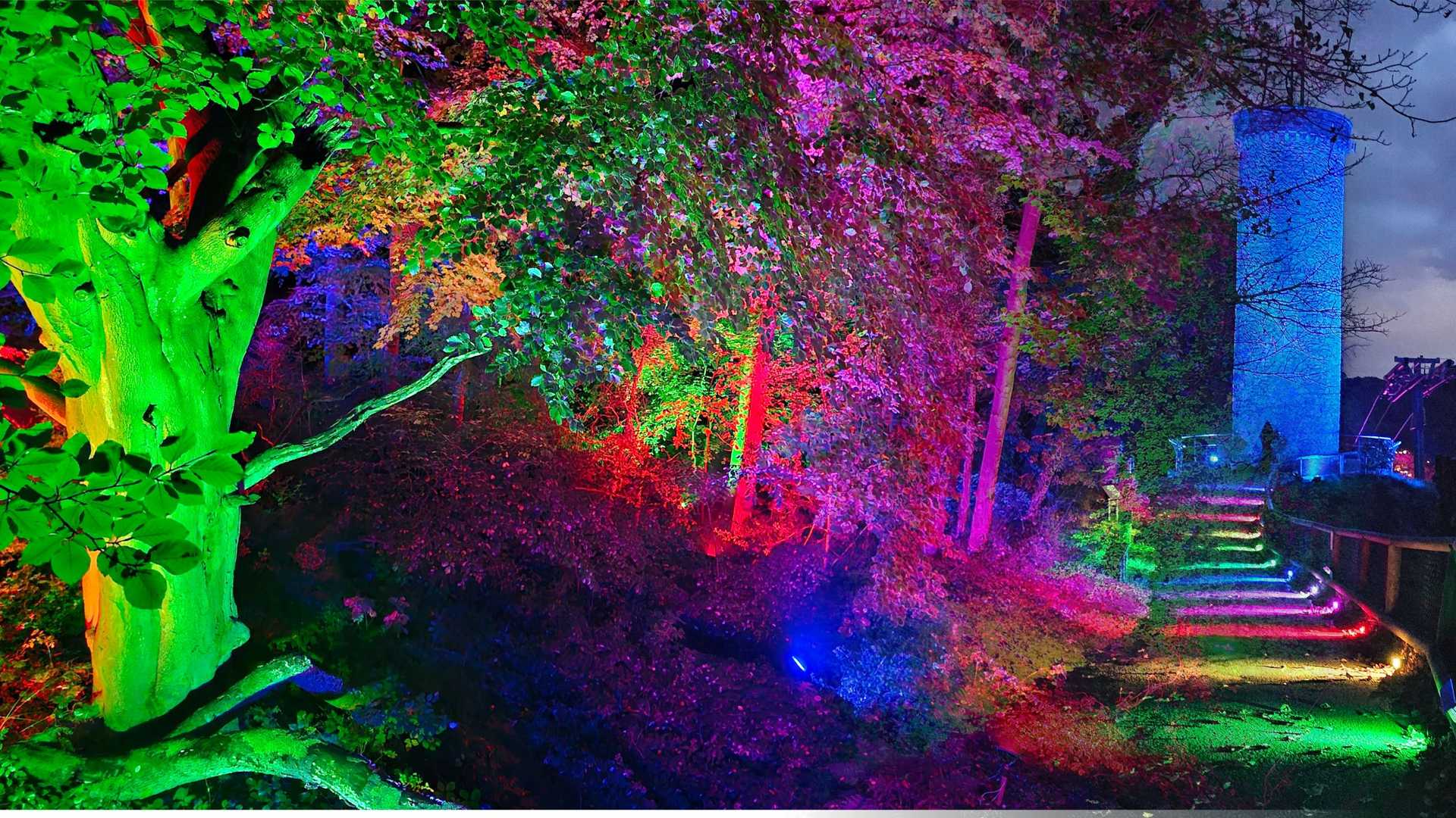 Decorative background image